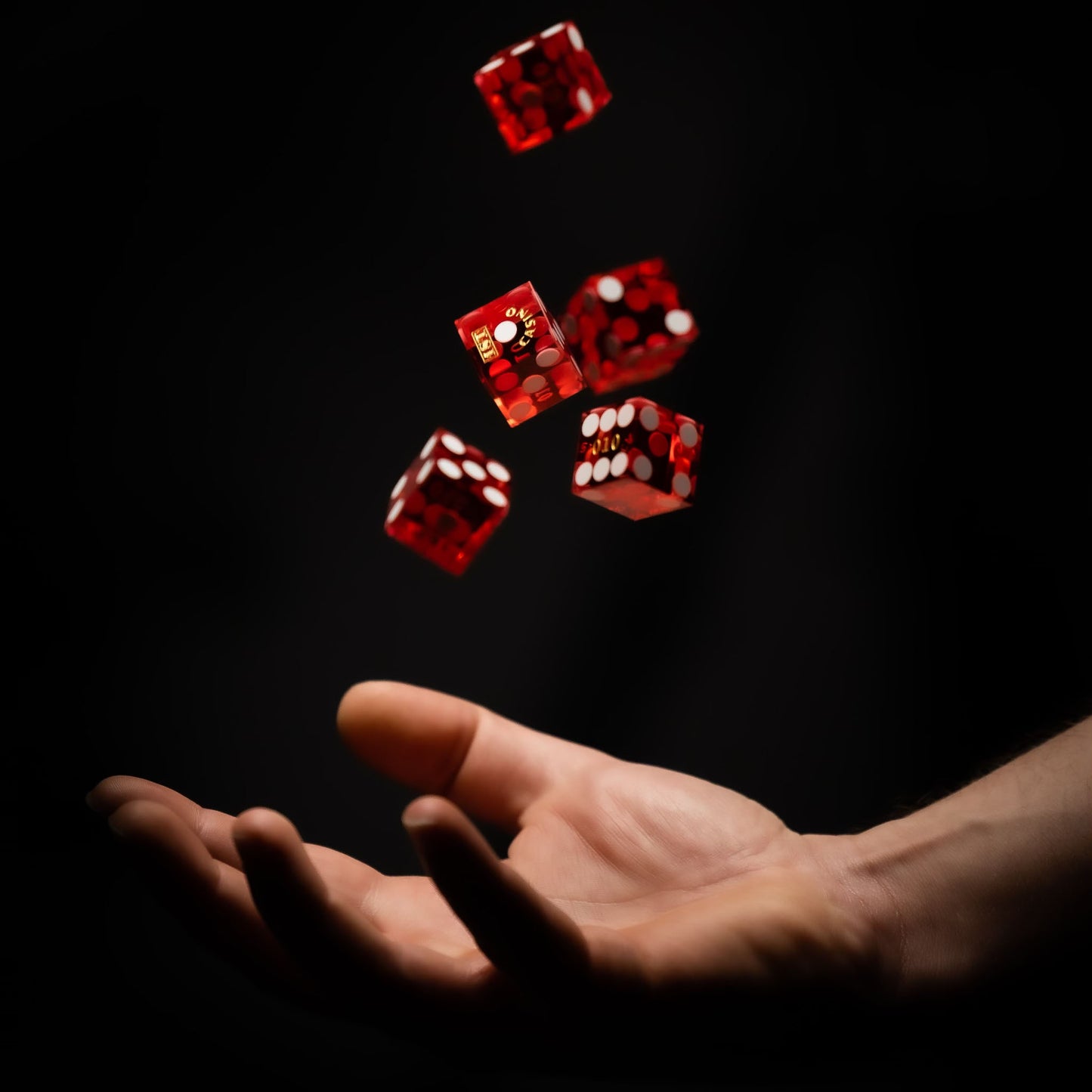 1ST Casino Dice